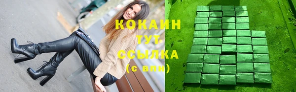 дмт Каменка