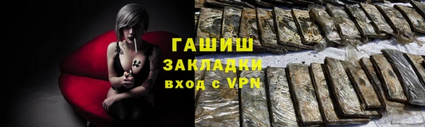 дмт Каменка