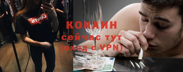 дмт Каменка