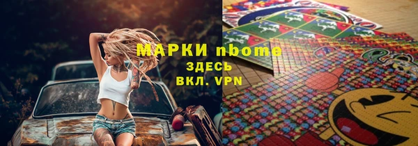 дмт Каменка