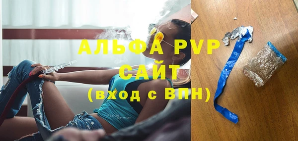 дмт Каменка