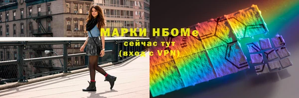 дмт Каменка