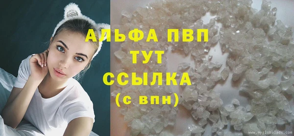 дмт Каменка