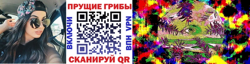Псилоцибиновые грибы мицелий  Купить где  Рославль 